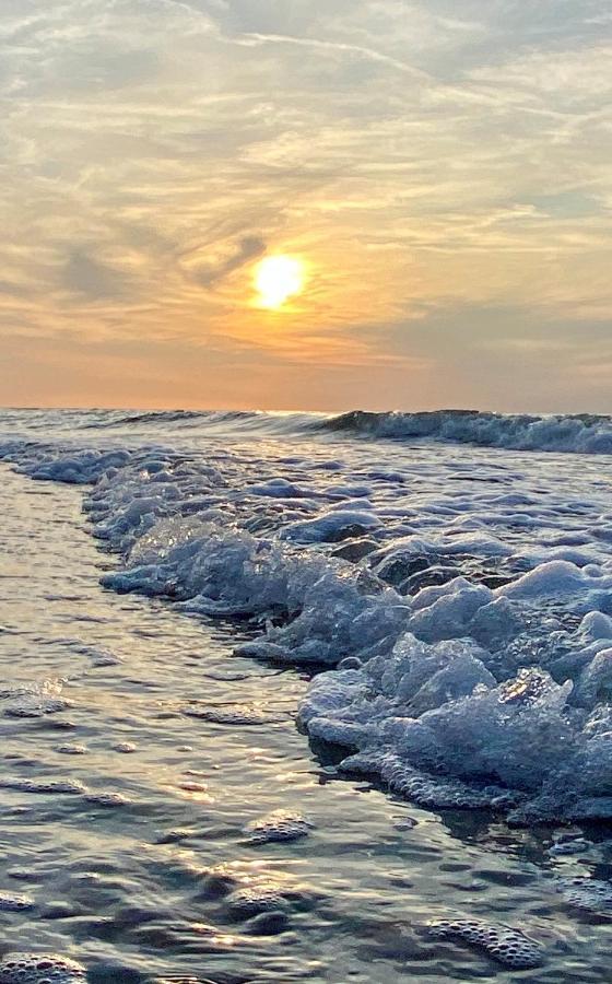 דירות מידזיזדרויה Bel Mare Aqua מראה חיצוני תמונה